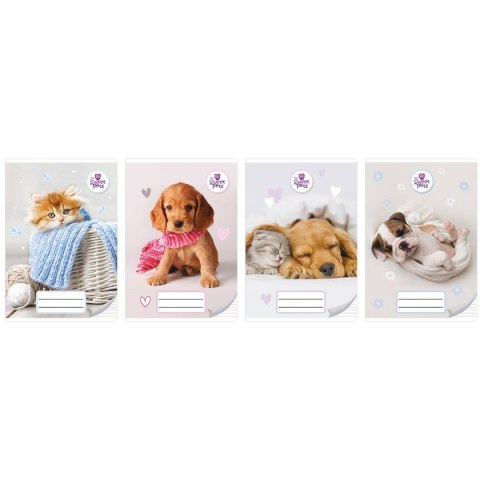 Beniamin Zeszyt A5 THE SWEET PETS 32k. linia Beniamin