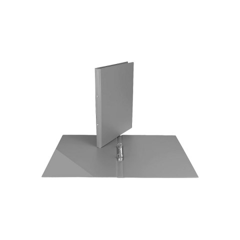 Biurfol Segregator ofertowy 2 cm A4 20mm srebrny Biurfol (KOZ-23-01)