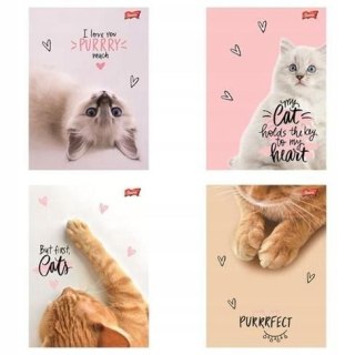 Unipap Zeszyt A5 PURRFECT MOMENTS 60k. 70g linia Unipap