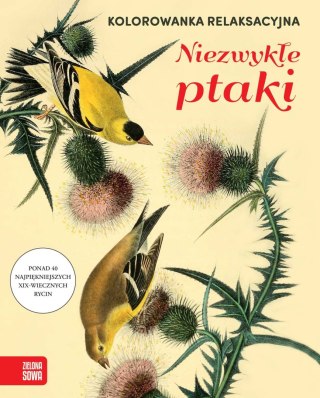 Zielona Sowa Książka dla dzieci Kolorowanka relaksacyjna. Niezwykłe ptaki Zielona Sowa