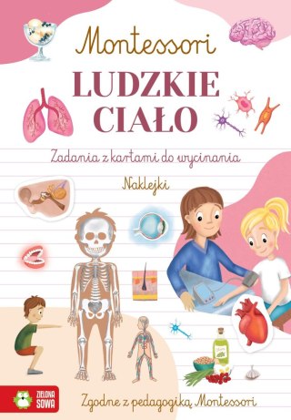 Zielona Sowa Książka dla dzieci Montessori. Ludzkie ciało Zielona Sowa