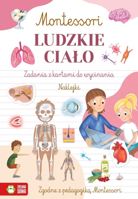 Zielona Sowa Książka dla dzieci Montessori. Ludzkie ciało Zielona Sowa