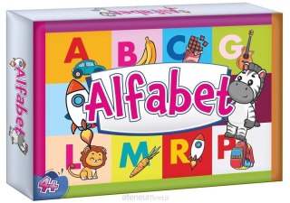 Kangur Gra edukacyjna Alfabet 4+ Kangur