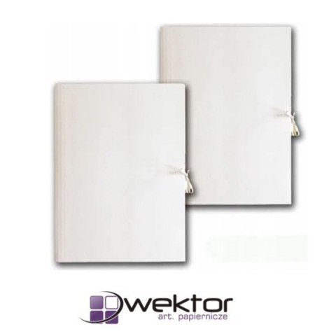 Wektor Teczka kartonowa Wektor (5906395355051)
