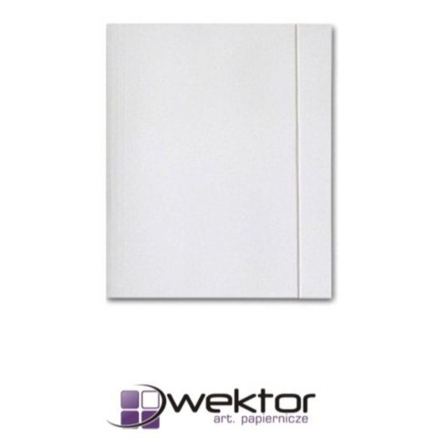 Wektor Teczka kartonowa Wektor (5906395355068)