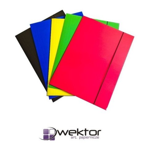 Wektor Teczka kartonowa Wektor (5906395355075)