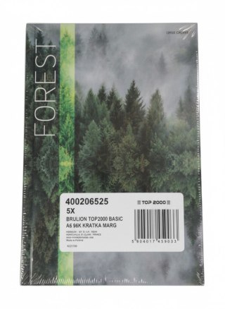 TOP-2000 Brulion A5 BASIC 96k. 60g krata TOP-2000 (400206525)